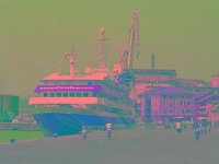 IMGP2647 edited (Medium)